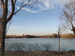 -东郊湿地公园