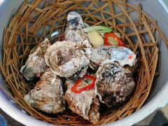 高压锅大连尚品生蚝-农家霸王地锅鸡(国顺东路店)