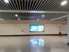 -杨高南路(地铁站)