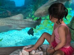 -波塞冬旅游度假区