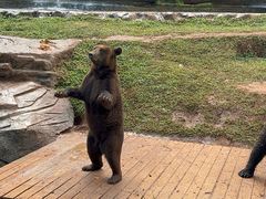 -海南热带野生动植物园