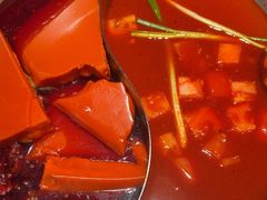 -蜀九香火锅(彩虹店)