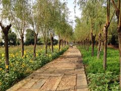 upload_pic-艾溪湖湿地公园