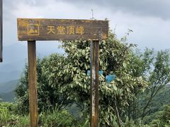 -广州市石门国家森林公园