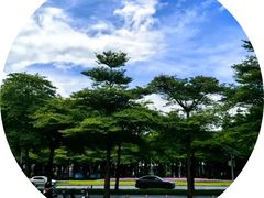 -深圳国际园林花卉博览园