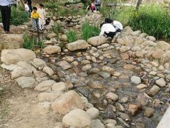 -聚龙山公园