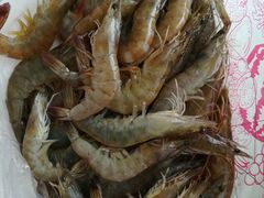 -盛华世家商业广场农贸水产综合批发市场