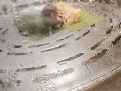 -碗中海·蒸汽海鲜·桑拿鸡(岭南天地店)