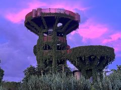 -芒洲湿地公园