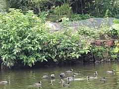 -海南热带野生动植物园