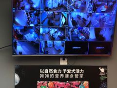 -宠物家(双井店)