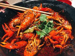 -红辣椒·川菜·火锅(科华路店)