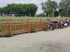 -米岗农庄