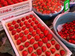 -南坛综合农贸市场