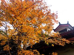 -汉中石门栈道景区