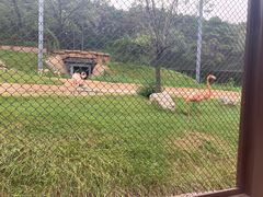 -沈阳森林动物园