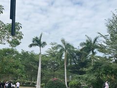 -亚龙湾国际玫瑰谷
