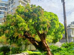 -福建师范大学(仓山校区)