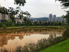 -沐仙湖湿地公园