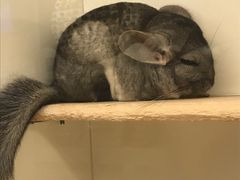 -龙猫仔乐园(惠福东路店)