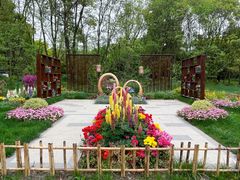 -上海共青森林公园