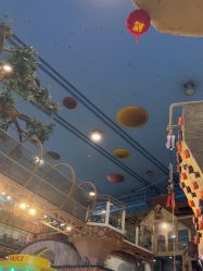 -卡通尼·Safari非洲探索乐园·生日会(金桥国际商业广场店)