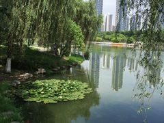 -后襄河公园