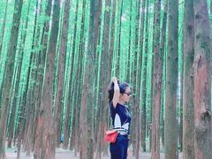 -山王坪喀斯特国家生态公园