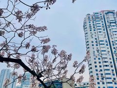 -成都市活水公园