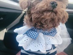 -万达影城(保定万博广场激光IMAX店)