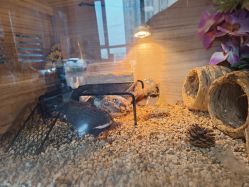 -Oasis Beauty水磨坊科技美肤中心