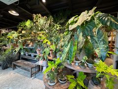 -自由生长植物工作室(深港花卉中心店)