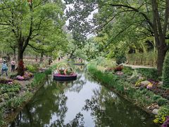 -上海共青森林公园