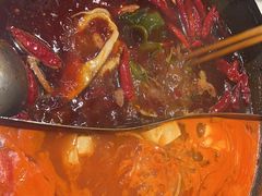 -朱光玉火锅馆(正弘城店)