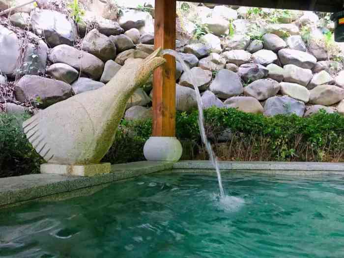 涵田竹韵温泉-"高温去涵田竹韵温泉泡汤7615 涵田半山.
