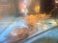 -九洲喜来登酒店湖月日餐厅