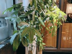 -路小缦·珍馐美馔(市心北路店)