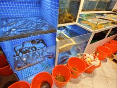 -小小饭店·休闲农庄·安吉松树林里的农家菜
