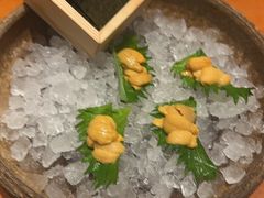 -月龍吟(朝龙汇店)