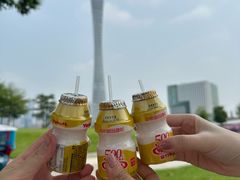 -二沙岛艺术公园