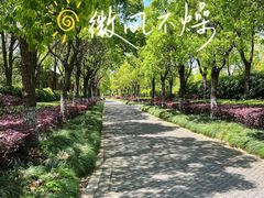 -上海海湾国家森林公园