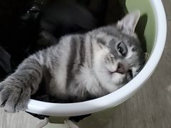 -蜀九香火锅(九眼桥店)