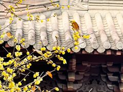 -钱王祠