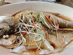清蒸白水鱼-状元楼(金溪路店)