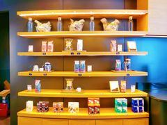 餐具摆设-星巴克(锦州太阳广场店)