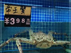 -金龙·打边炉(南京西路店)