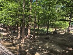 -白水寺森林公园