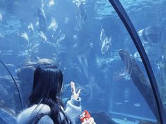 -南昌海洋公园