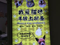 -我爱猫咪·猫咖·狗咖·安哥拉兔·羊驼咖(小寨华旗店)