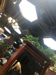 -东晨宝格丽品质造型